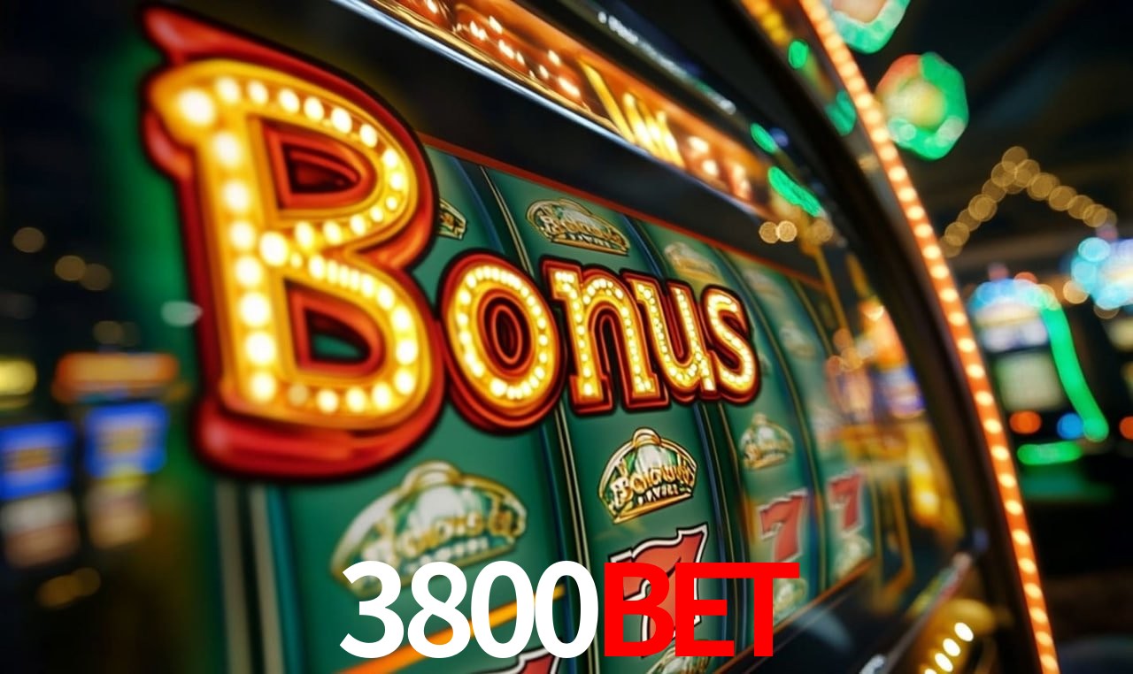3800Bet Salvador - Promo Stats