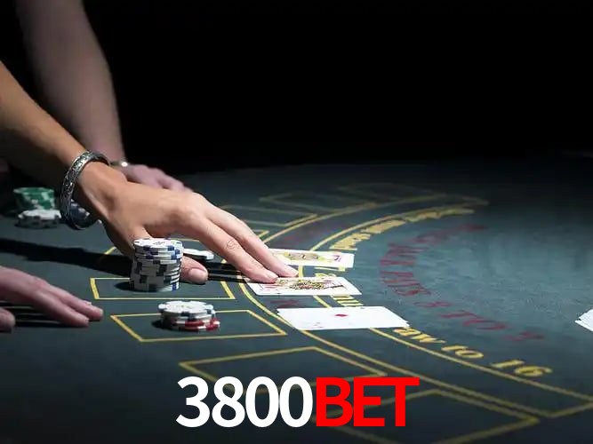 3800Bet Curitiba - Statistics
