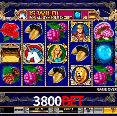 3800Bet Rio de Janeiro - Bonus Terms